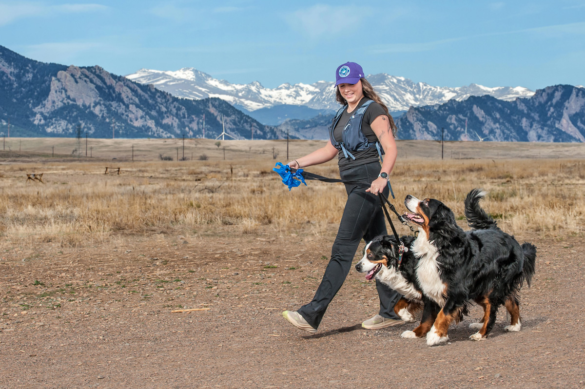 Healthy Hounds Coach leading a structured fitness walk with two dogs near Superior, Colorado, snow-capped Front Range behind