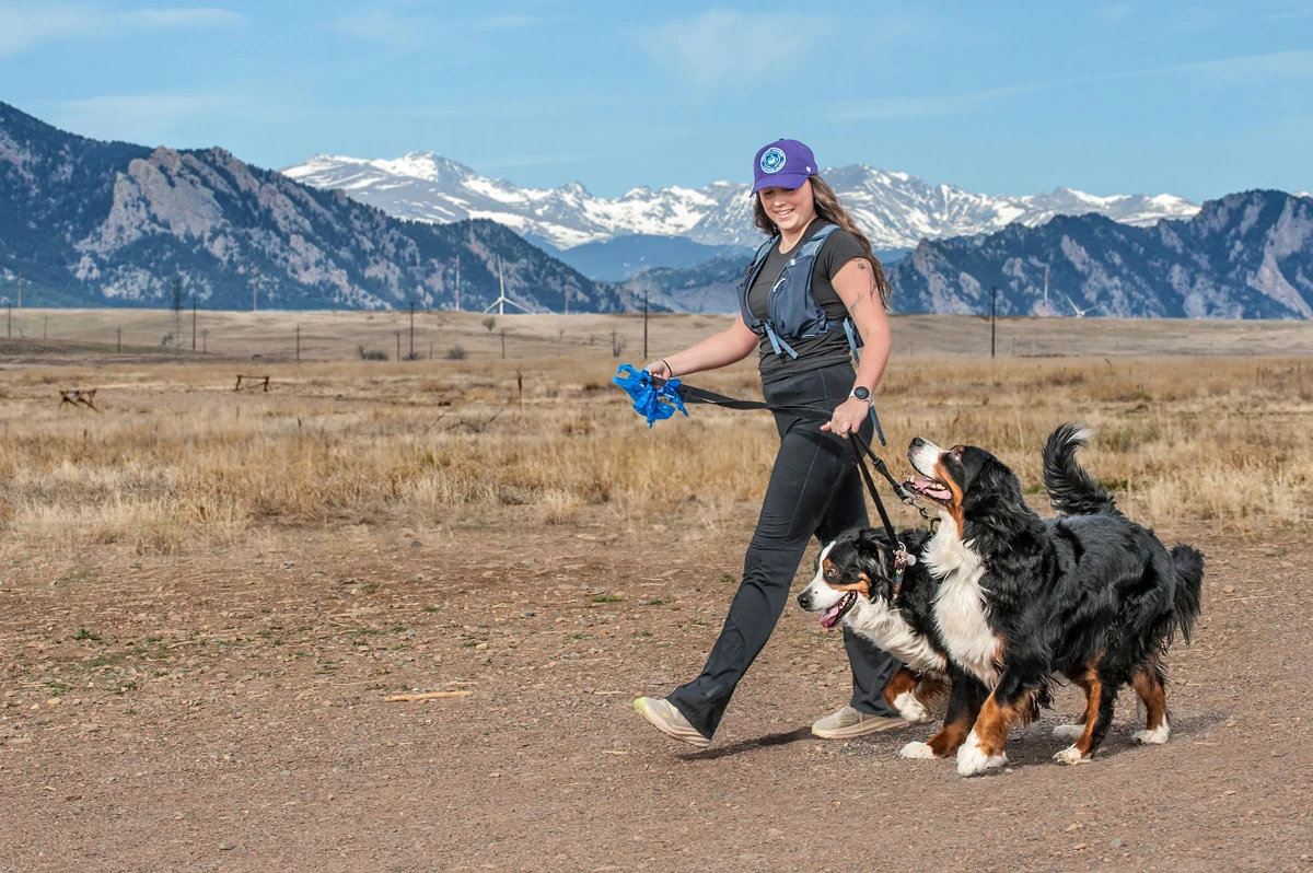 Healthy Hounds Coach leading a structured fitness walk with two dogs near Superior, Colorado, snow-capped Front Range behind