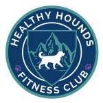 Healthy Hounds Fitness Club